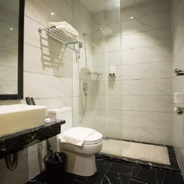 Vienna Hotel (newly renovated 2025)