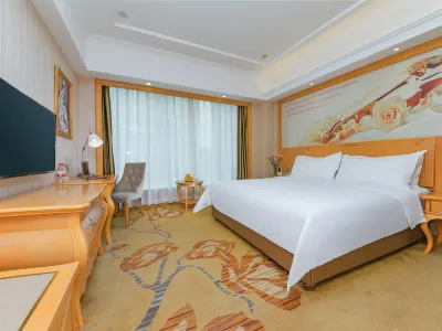 Werner Hotel (Xiaogan Wanda Plaza Hong Kong City Branch)
