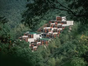 더 처디 닝하이