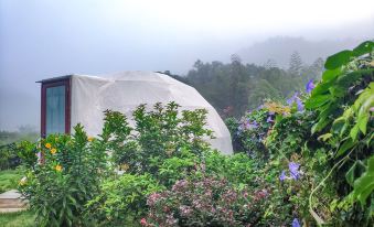 CHAIQUANNONGDOU Guesthouse