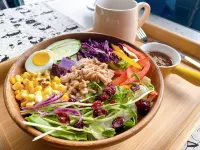 Norway Forest Travel hotel 3 Taichung