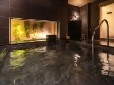 スーパーホテル越前・武生 越前市のホテル