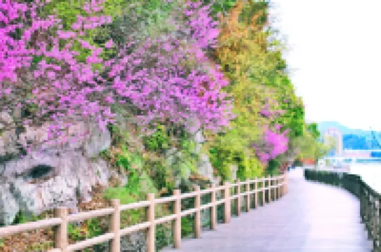 神仙居景瀾青棠酒店（仙居南站店）