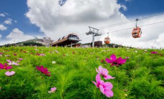 Thaiwoo Ski Town Xueluju  Hot spring Hotel