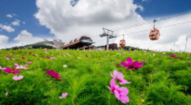 Thaiwoo Ski Town Xueluju   Hotel