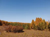 塞罕壩傑事傑民宿