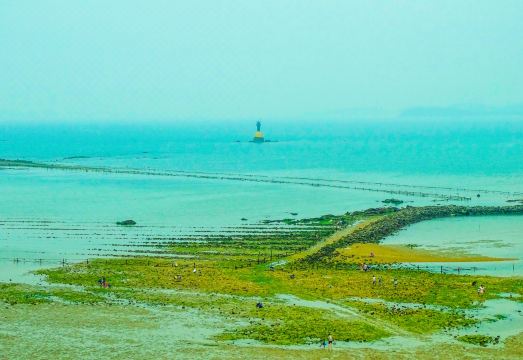 호텔 테라마르 대표 이미지