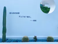 嵊泗花鳥南枝民宿 花鳥島酒店