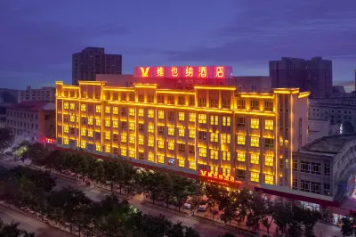 Vienna Hotel (Cele)