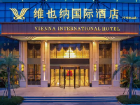 ウィーン インターナショナルホテル(寧明花山) 寧明のホテル