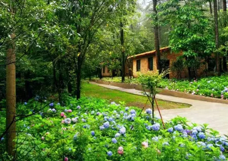 Chongqing Black Valley Ordovician Tianmen Hualu Forest Homestay Отели рядом с достопримечательностью «Banliao Lake»