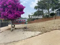 普洱天玉莊咖啡園