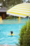 西安地建南山溫泉飯店（野生動物園店） - 水上樂園