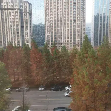 Huayang Nianhua Self-checkin Apartment (Linyi Wuzhou Lake)