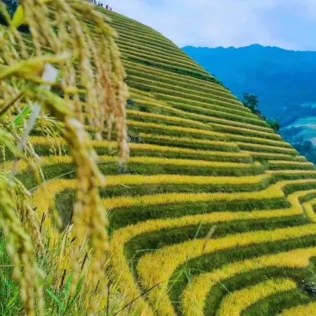 Yunxi Shang Viewing Homestay (Longji Terraces Thousand-Floor Sky Ladder Observation Deck)