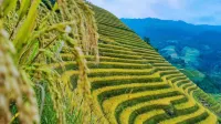 雲希尚旅拍觀景民宿（龍脊梯田千層天梯觀景台店） - 山景