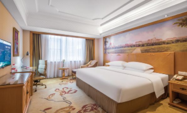 Vienna International Hotel (Shenzhen North Railway Station)