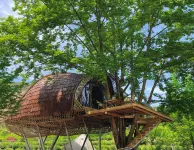 Anji Field Song Stream Wilderness Hot Spring Tribe