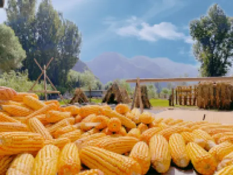 Floral Hotel ·Yesanpo Shiguang Mountain Hotel