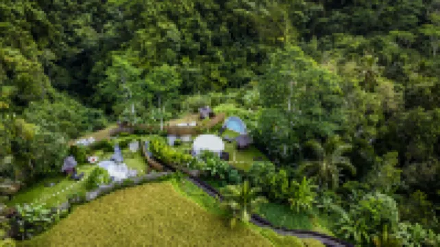 Bubble Hotel Bali Ubud - Adults Only