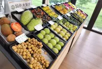 果緣星宿（海南省盛大世界熱帶水果之窗共享農園）