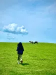 Muyun Mountain Top Homestay - Inns