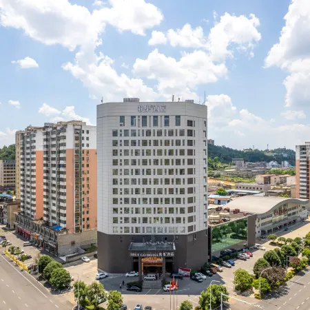 TRUE GO Hotel (Xianning Huochezhan Xianning North Railway Station)