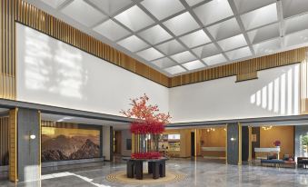 Hilton Garden Inn Huangshan Scenic Area South Gate