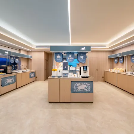 Hanting Hotel Xinyuan Swan Lake