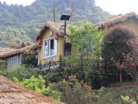 遵义桐梓开元芳草地乡村酒店 - 花海庭院家庭房