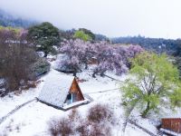 林芝茧居民宿 - 花园