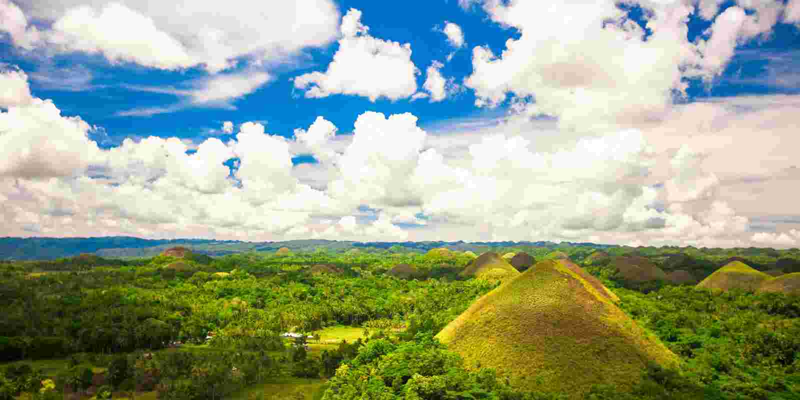 <h1>Hotels Near Bohol Island State University</h1>