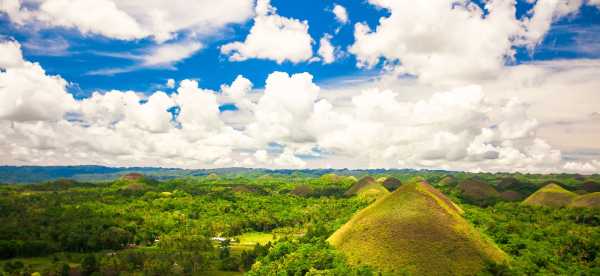 Best Hotels in Bohol Island 