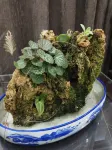 Haizhimeng Boutique Homestay Hotels in Putian