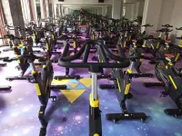 Floral Hotel·Wang Yan Bieyuan Hotel (Leizhou Maode Gonggucheng Store) - Gym
