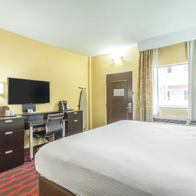 إن آت ذا بيتش تريز، آن أسيند كوليكشن هوتل Hotels near وسط مدينة أتلانتا