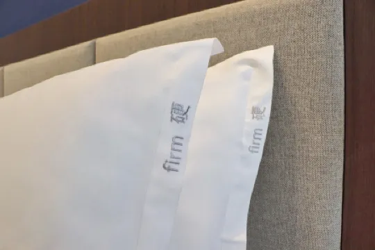 成都新希望武侯智選假日飯店（紅牌樓地鐵站店）