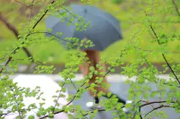 Dujiangyan Qinxiang margin b&B Hotels in Hongkou