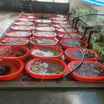 Nanji Xiaoyang Farm Stay