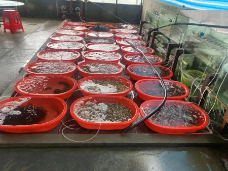 Nanji Xiaoyang Farm Stay