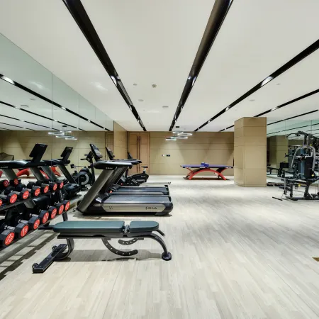 Ladisson Hotel, Xinxiang International Conference Center