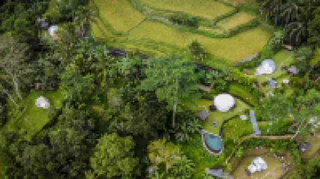 Bubble Hotel Bali Ubud - Adults Only