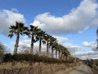 Betta's Homestay Hotels in Jeju