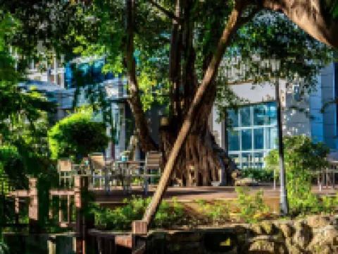 Su Jian Fan Lu Homestay Hotels in Miyi