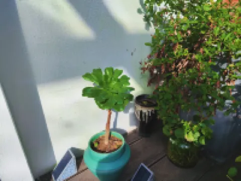 Xiangyang Ruoyin Homestay (Xiangyang Ancient City Zhongxuan Building) Hotels near King Xiang Government's Green Screen Wall