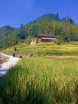 Daoxiang Tianyuan Homestay (Dali Dongzhai Scenic Area)