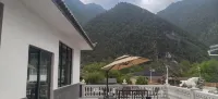 金絲嵐舍