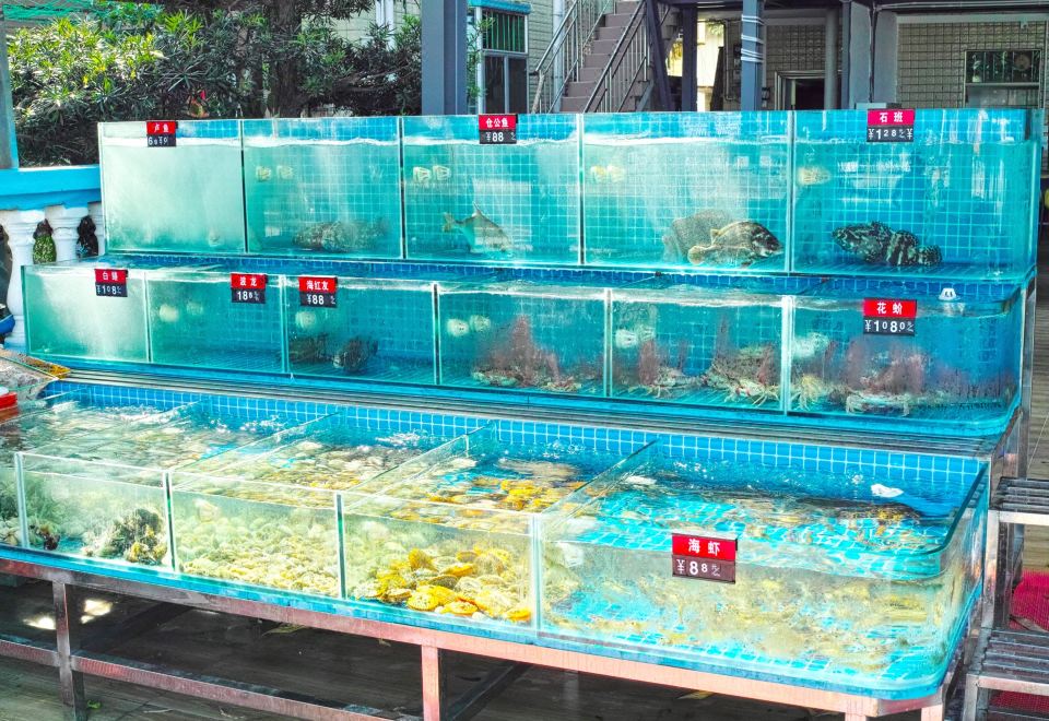 4. 선전 피스타치오..