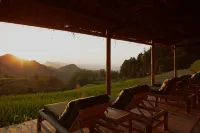 Cipo Jiangshan Holiday Guesthouse - 4-Star