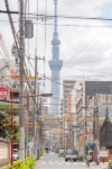 ELE Hotel Higashiueno